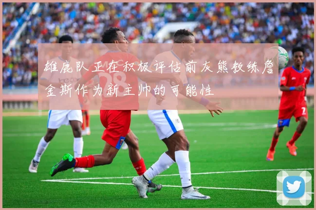 雄鹿队正在积极评估前灰熊教练詹金斯作为新主帅的可能性