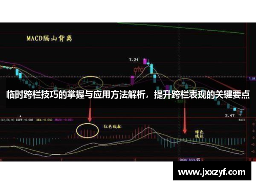 临时跨栏技巧的掌握与应用方法解析，提升跨栏表现的关键要点