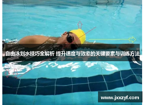 自由泳划水技巧全解析 提升速度与效率的关键要素与训练方法