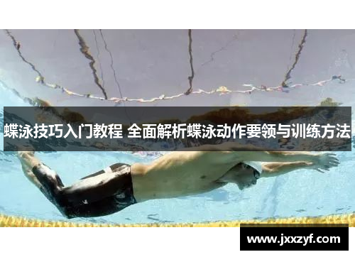 蝶泳技巧入门教程 全面解析蝶泳动作要领与训练方法