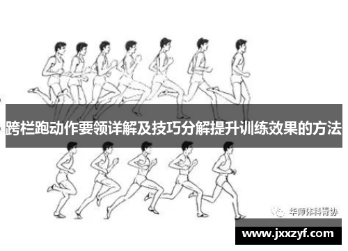 跨栏跑动作要领详解及技巧分解提升训练效果的方法